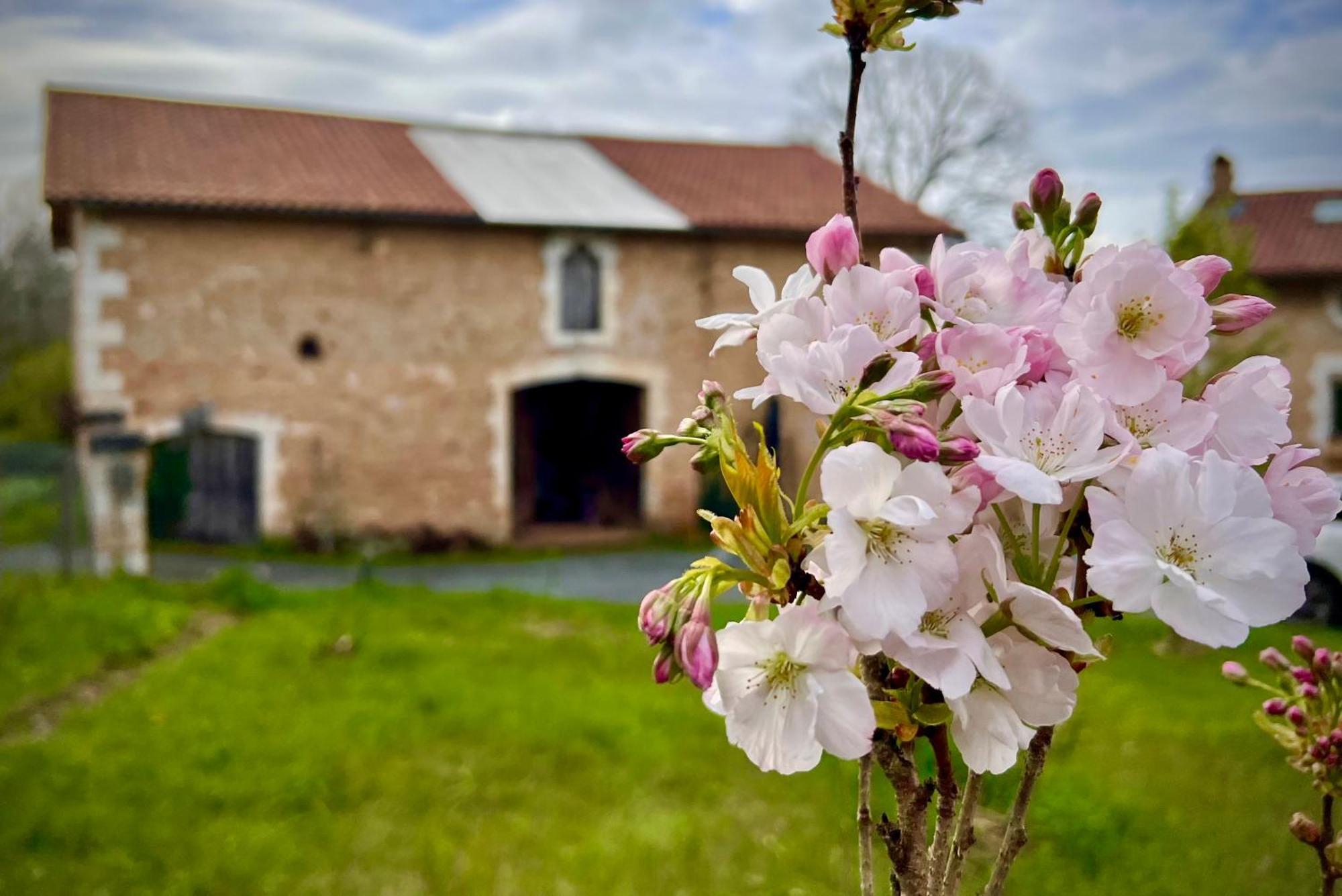 Ferme Gite Le Coeur Des Petits Chenes Saint-Pierre-de-Cole ภายนอก รูปภาพ