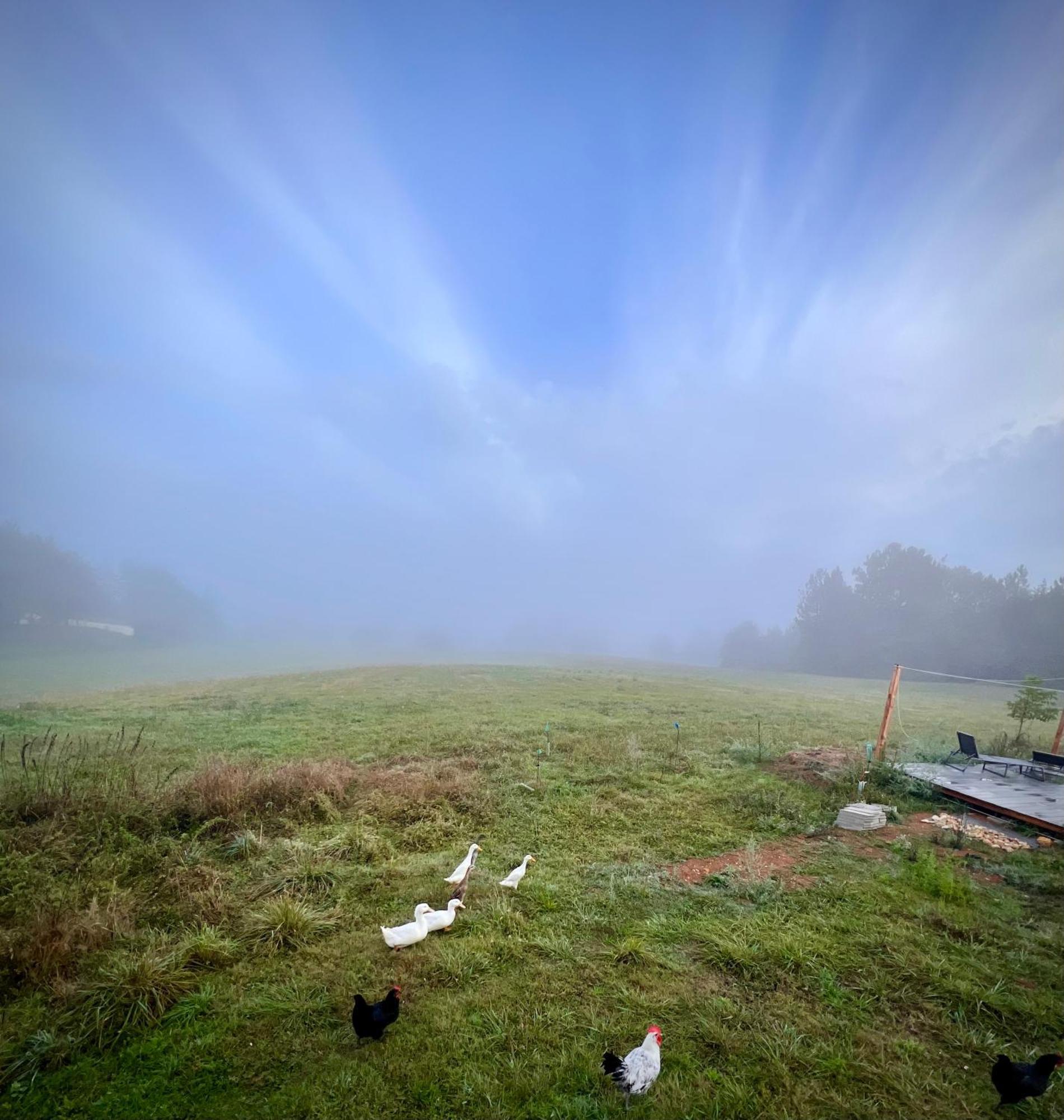 Ferme Gite Le Coeur Des Petits Chenes Saint-Pierre-de-Cole ภายนอก รูปภาพ