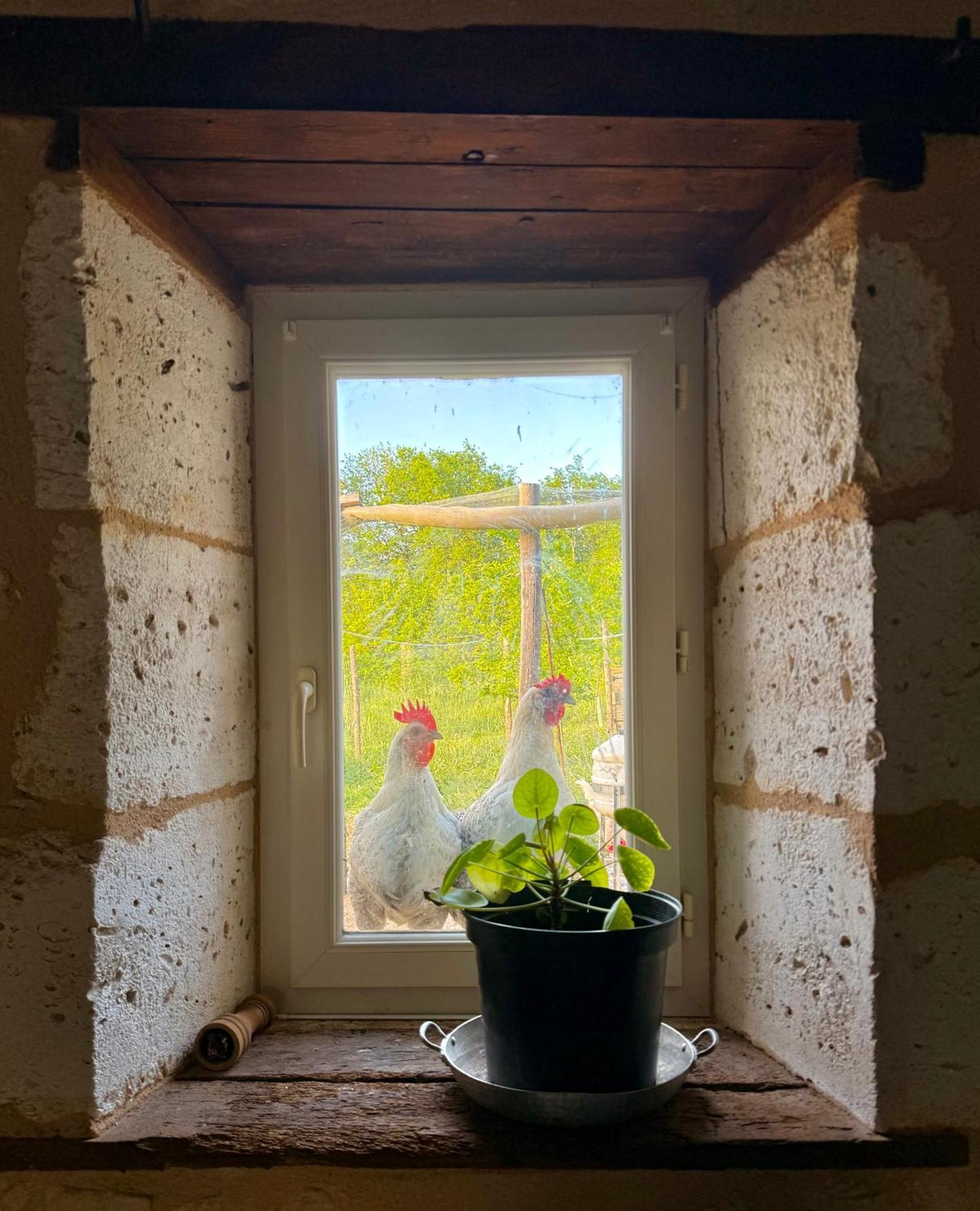 Ferme Gite Le Coeur Des Petits Chenes Saint-Pierre-de-Cole ภายนอก รูปภาพ